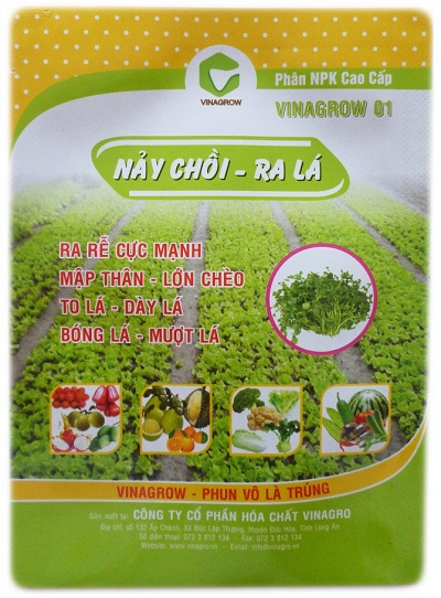 VNG01 nảy chồi ra lá 50g - Công Ty TNHH MTV BEEVIET